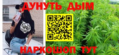 индика Гусиноозёрск
