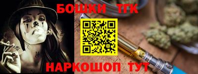 гашик Аргун