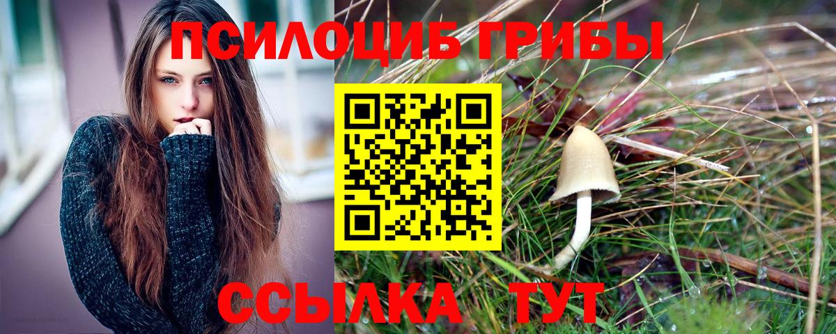 Галлюциногенные грибы Psilocybe Урус-Мартан