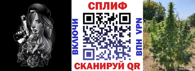 Конопля ГИДРОПОН  Урус-Мартан 